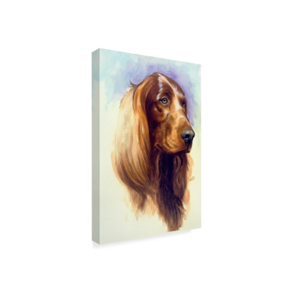 Barbara Keith 'Irish Setter' Canvas Art,22x32